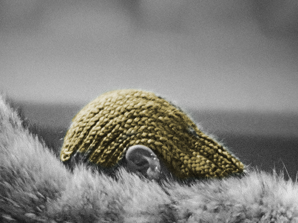 pnp_BeyonceHair